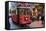 Historic Red Tram on Istiklal Caddesi, Beyoglu, Istanbul, Turkey, Europe-Neil Farrin-Framed Stretched Canvas