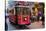 Historic Red Tram on Istiklal Caddesi, Beyoglu, Istanbul, Turkey, Europe-Neil Farrin-Stretched Canvas