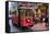 Historic Red Tram on Istiklal Caddesi, Beyoglu, Istanbul, Turkey, Europe-Neil Farrin-Framed Stretched Canvas