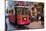 Historic Red Tram on Istiklal Caddesi, Beyoglu, Istanbul, Turkey, Europe-Neil Farrin-Mounted Photographic Print