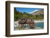 Historic Relic From The Gold Rush, Shotover River, Queenstown, Otago, South Island, New Zealand-David Wall-Framed Photographic Print