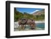 Historic Relic From The Gold Rush, Shotover River, Queenstown, Otago, South Island, New Zealand-David Wall-Framed Photographic Print