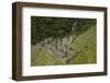 Historic ruins of Inca city at Winay Wayna, on the Inca Trail to Machu Picchu, Peru-David Wall-Framed Photographic Print