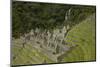 Historic ruins of Inca city at Winay Wayna, on the Inca Trail to Machu Picchu, Peru-David Wall-Mounted Photographic Print