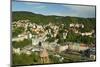 Historic Spa Section of Karlovy Vary, Bohemia, Czech Republic, Europe-Jochen Schlenker-Mounted Photographic Print