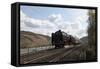 Historic Steam Train-p.lange-Framed Stretched Canvas