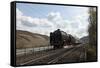 Historic Steam Train-p.lange-Framed Stretched Canvas