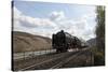 Historic Steam Train-p.lange-Stretched Canvas