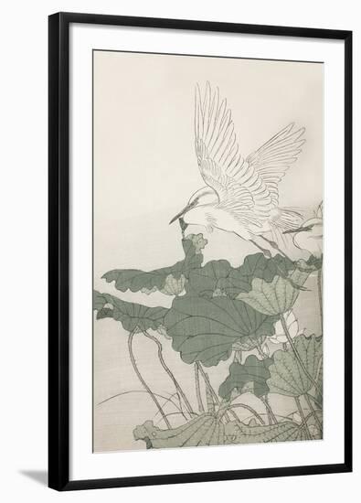 Historic Study - Flight-Imao Keinen-Framed Giclee Print