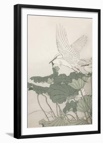 Historic Study - Flight-Imao Keinen-Framed Giclee Print