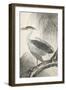 Historic Study - Rest-Imao Keinen-Framed Giclee Print