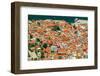 Historic town panoramic view, with traditional low-rise red tile roof buildings, Nafplion-bestravelvideo-Framed Photographic Print