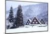 Historic Village of Shirakawago-tamikosan-Mounted Photographic Print