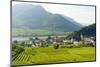 Historic village Spitz located in wine-growing area. Lower Austria-Martin Zwick-Mounted Photographic Print