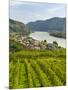 Historic village Spitz located in wine-growing area. Lower Austria-Martin Zwick-Mounted Photographic Print