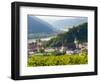 Historic village Spitz located in wine-growing area. Lower Austria-Martin Zwick-Framed Photographic Print