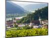 Historic village Spitz located in wine-growing area. Lower Austria-Martin Zwick-Mounted Photographic Print