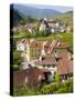 Historic village Spitz located in wine-growing area. Lower Austria-Martin Zwick-Stretched Canvas