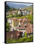Historic village Spitz located in wine-growing area. Lower Austria-Martin Zwick-Framed Stretched Canvas