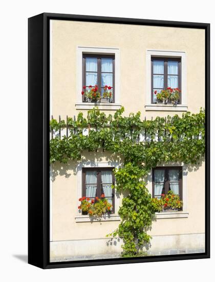 Historic village Unterloiben located in wine-growing area-Martin Zwick-Framed Stretched Canvas