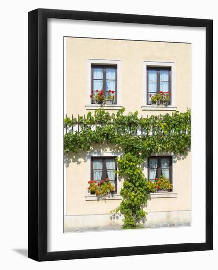 Historic village Unterloiben located in wine-growing area-Martin Zwick-Framed Photographic Print