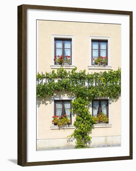 Historic village Unterloiben located in wine-growing area-Martin Zwick-Framed Photographic Print