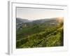 Historic village Weissenkirchen located in wine-growing area.-Martin Zwick-Framed Photographic Print