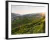 Historic village Weissenkirchen located in wine-growing area.-Martin Zwick-Framed Photographic Print