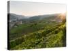 Historic village Weissenkirchen located in wine-growing area.-Martin Zwick-Stretched Canvas