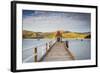 Historic Wharf, Akaroa, Banks Peninsular, South Island, New Zealand-Doug Pearson-Framed Photographic Print