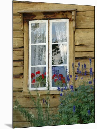 Historic Wooden Buildings, Open Air Museum Near Bardufoss, Norway-Gary Cook-Mounted Photographic Print