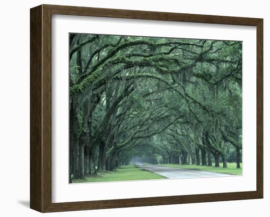 Historic Wormsloe Plantation, Savannah, Georgia, USA-Joanne Wells-Framed Premium Photographic Print