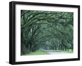 Historic Wormsloe Plantation, Savannah, Georgia, USA-Joanne Wells-Framed Premium Photographic Print