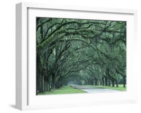 Historic Wormsloe Plantation, Savannah, Georgia, USA-Joanne Wells-Framed Premium Photographic Print