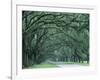 Historic Wormsloe Plantation, Savannah, Georgia, USA-Joanne Wells-Framed Photographic Print