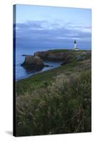 Historic Yaquina Head Lighthouse, Newport, Oregon, USA-Rick A. Brown-Stretched Canvas