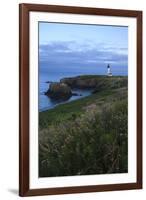 Historic Yaquina Head Lighthouse, Newport, Oregon, USA-Rick A. Brown-Framed Photographic Print