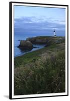 Historic Yaquina Head Lighthouse, Newport, Oregon, USA-Rick A. Brown-Framed Premium Photographic Print