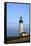 Historic Yaquina Head Lighthouse, Newport, Oregon, USA-Rick A. Brown-Framed Stretched Canvas
