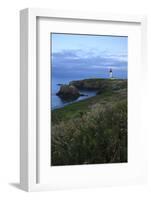 Historic Yaquina Head Lighthouse, Newport, Oregon, USA-Rick A. Brown-Framed Photographic Print