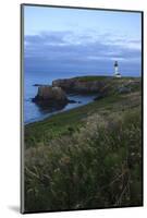 Historic Yaquina Head Lighthouse, Newport, Oregon, USA-Rick A. Brown-Mounted Photographic Print