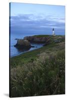 Historic Yaquina Head Lighthouse, Newport, Oregon, USA-Rick A. Brown-Stretched Canvas