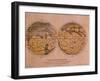 Historical Artwork of Canals on Surface of Mars-Detlev Van Ravenswaay-Framed Photographic Print