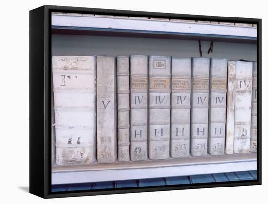 Historical Books at Strahov Monastery, Hradcany, Prague, Czech Republic, Europe-Richard Nebesky-Framed Stretched Canvas