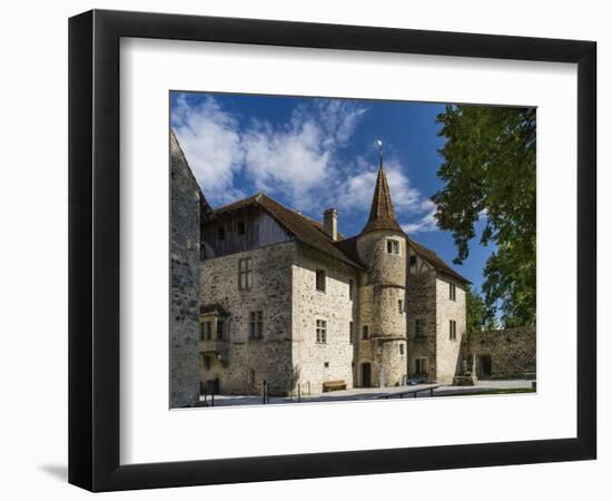 Historical castle Hallwyl-enricocacciafotografie-Framed Photographic Print