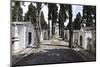 Historical Cemetery, Tombs, Burial Chambers, Cemiterio Dos Prazeres, Prazeres, Lisbon, Portugal-Axel Schmies-Mounted Photographic Print