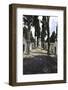 Historical Cemetery, Tombs, Funerary Chambers, Cemiterio Dos Prazeres, Prazeres, Lisbon, Portugal-Axel Schmies-Framed Photographic Print