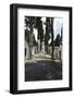 Historical Cemetery, Tombs, Funerary Chambers, Cemiterio Dos Prazeres, Prazeres, Lisbon, Portugal-Axel Schmies-Framed Photographic Print