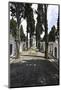 Historical Cemetery, Tombs, Funerary Chambers, Cemiterio Dos Prazeres, Prazeres, Lisbon, Portugal-Axel Schmies-Mounted Photographic Print