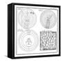 Historical Cosmologies-Science, Industry and Business Library-Framed Stretched Canvas